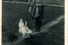 Willem van der Sluis