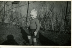 Meine vd Sluis F&A